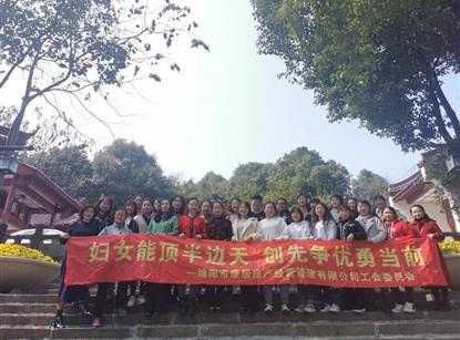 集團各所屬工會“三八”國際婦女節(jié)主題慶?；顒?>
                            </figure>
						<div   id=